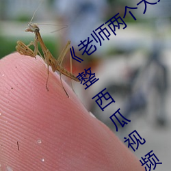 《老师两个大兔子在衬衫里抖来抖去》 完整西瓜视频在线观