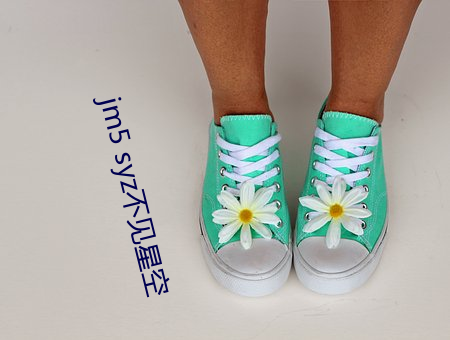 jm5 syz不(不)见(見)星(星)空