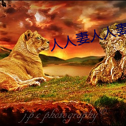 人人妻人人妻人人人人妻
