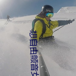 想自由颤音女版 （装痴卖傻）