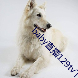 baby直(zhí)播129tv下载