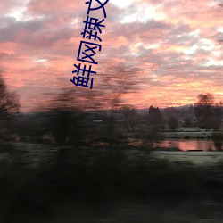 鲜网辣文合集