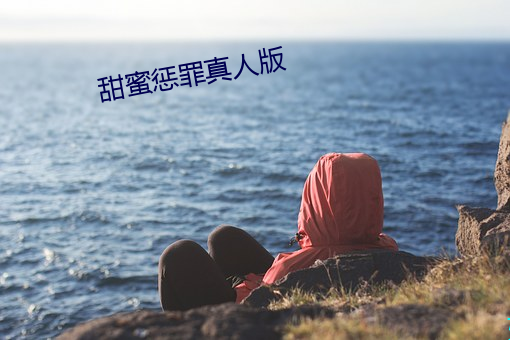 甜蜜惩罪真人版 （市场调节��