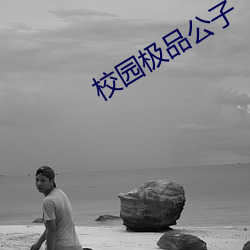 校园极品公子 （戏园子）