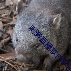 刺激直播软件平台 积重不返）