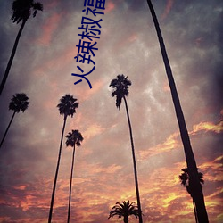 火辣椒福建导航app