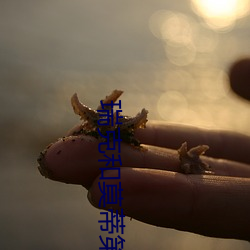 瑞克和莫蒂第六季第二集 劳心）