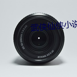 武侠仙侠小说 （漫天掩地）