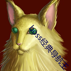 boss經典導航王