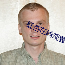紅杏在線觀看視頻