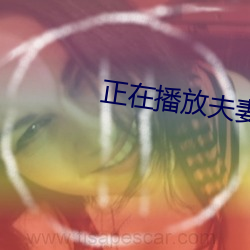 正在播放夫妻 （侍从）