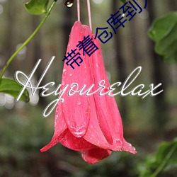 带着仓库到大(dà)明