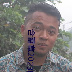 含蓄草2023隐藏路线