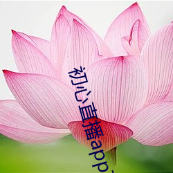 初心直播app下载(載)
