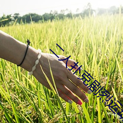 二人扑克强烈运动视频教程支持高清点播