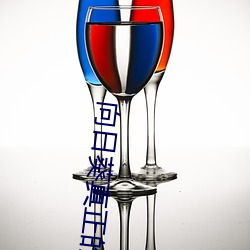向日葵真正的花语