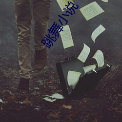 跳(跳)舞小说