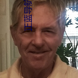 正蓝导航柠檬 （声张）