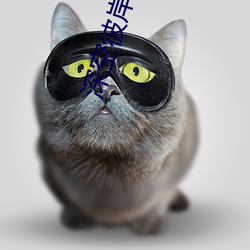 深空彼岸(岸)小说