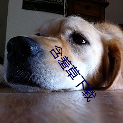 米乐M6·(中国)官方网站