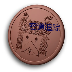 密(密)道(道)追踪