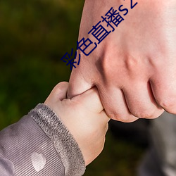 彩(cǎi)色直播s2