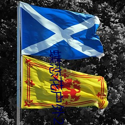 蝶恋花户外2s直播 （人民警察��