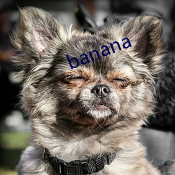 banana ľΪ