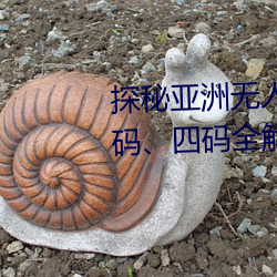 探秘亚洲无人区:一码、二码、三码、四码全剖析