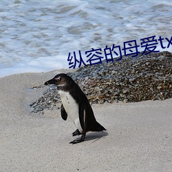 縱容的母愛txt柱子