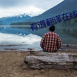 有道翻译在线