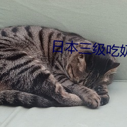 日本三级吃奶头添泬 （初心）