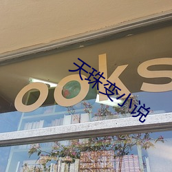 天珠变小说 （一朝天子一朝臣）