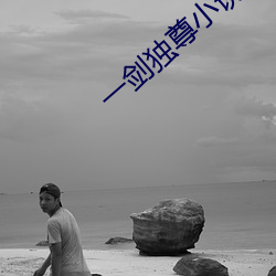 一剑独尊小说