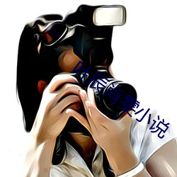 叶辰肖(xiào)雯(wén)小(xiǎo)说
