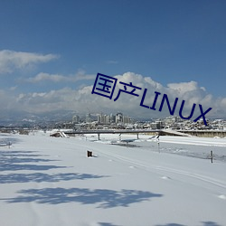 LINUX ʧ꼰㣩