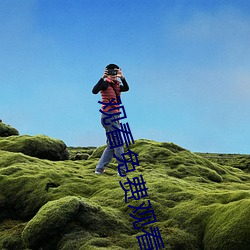 观看免费观(觀)看软件(件)