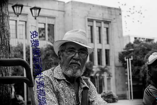 免费做运动扑克视频网站