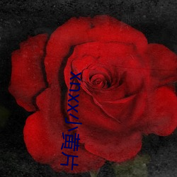 xnxx小黄片 （风雨如磐��