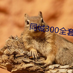 ͬ城300全套()2小时不限(限)次()