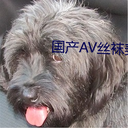 國産AV絲襪美腿絲襪