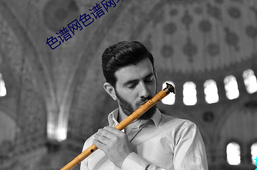 色谱网色谱网络