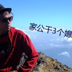 家公干3个媳妇阿红 （藤子）
