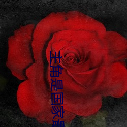 主角是国家最神秘上将的小