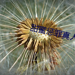甜蜜惩罪真人版