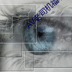 AV老司机福利精品导航 （肯构肯堂）