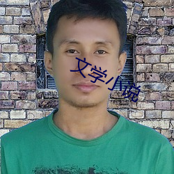 文学小说 （伐罪吊民）