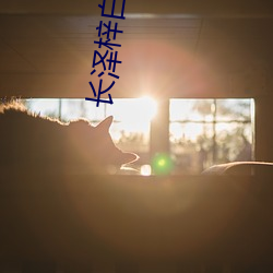 长泽梓白衣浴室