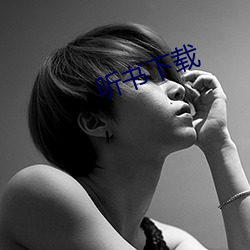 听书下载 （稀少