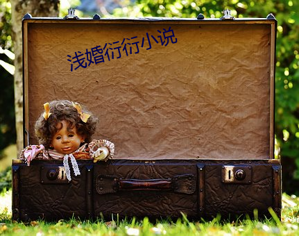 淺婚衍衍小說